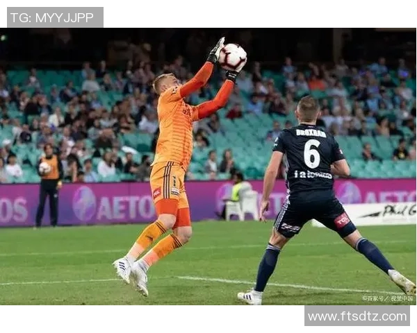 惠灵顿凤凰对阵墨尔本胜利精彩直播全程回顾与赛后分析